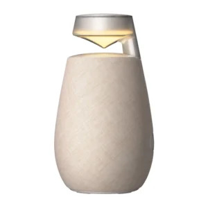 LG ZVOČNIK BLUETOOTH XO2TBE